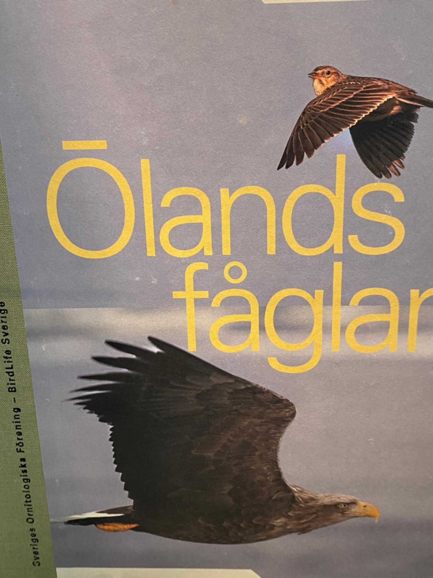 Idyliska Boende Mitt Pa Oeland Lejlighed Färjestaden Eksteriør billede